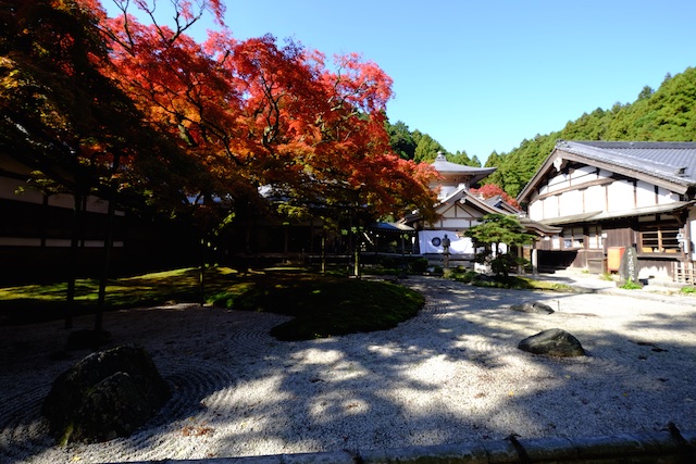 雷山千如寺大悲王院 – 拝観料400円で大楓を裏から眺める