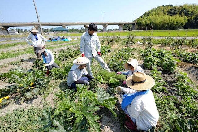 糸島福吉体験農園 – 一年を通して自ら野菜を育てる！体験農園の様子を見学してきた！